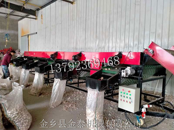 有效清洁蒜种分瓣机的方法