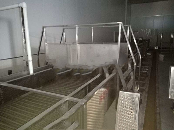 蒜米清洗机气泡供应