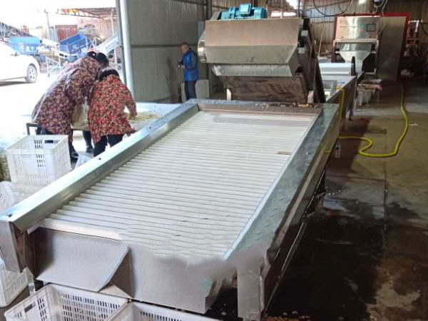 蒜米檫干机供应